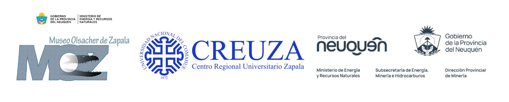 Logos de sponsors BPN y Fundación BPN